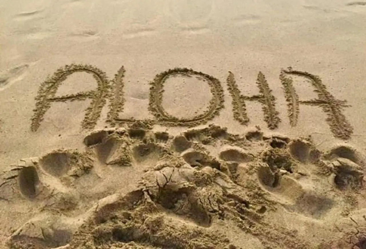 라하이나 12Th Fl Penthouse Aloha Special Savings Oceanfront 아파트 미국